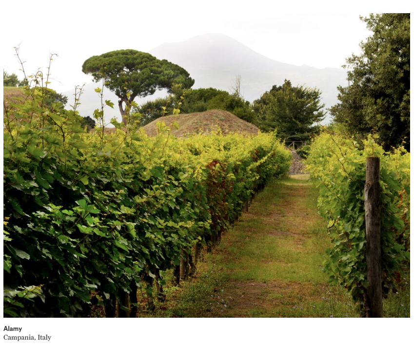 Skærmbillede 2015-11-29 kl. 3.22.16 PM.png